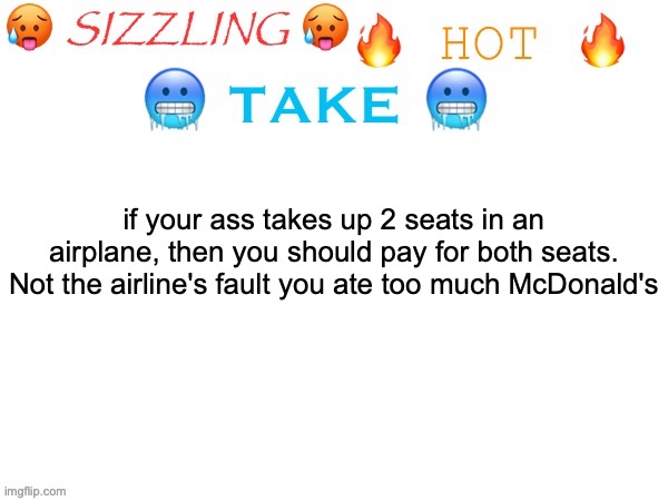 sizzling hot take | if your ass takes up 2 seats in an airplane, then you should pay for both seats. Not the airline's fault you ate too much McDonald's | image tagged in sizzling hot take | made w/ Imgflip meme maker