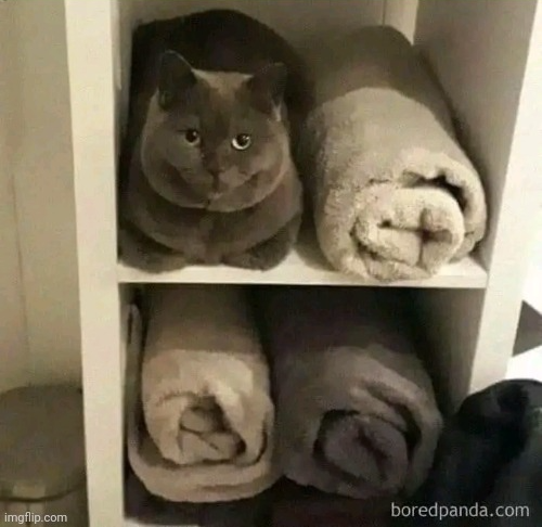 Chrisjoines1 Blank Meme Template