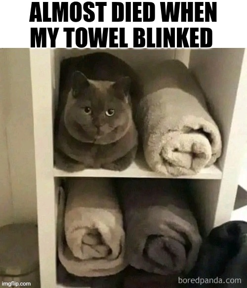 Almost Died When My Towel Blinked | Almost died when my towel blinked | image tagged in chrisjoines1 | made w/ Imgflip meme maker
