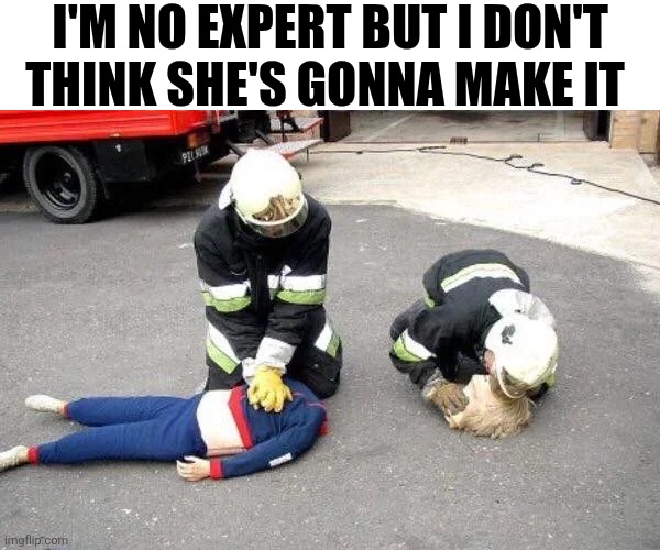I'm No Expert But I Don't Think She's Gonna Make It | I'm no expert but I don't think she's gonna make it | image tagged in chrisjoines1 | made w/ Imgflip meme maker
