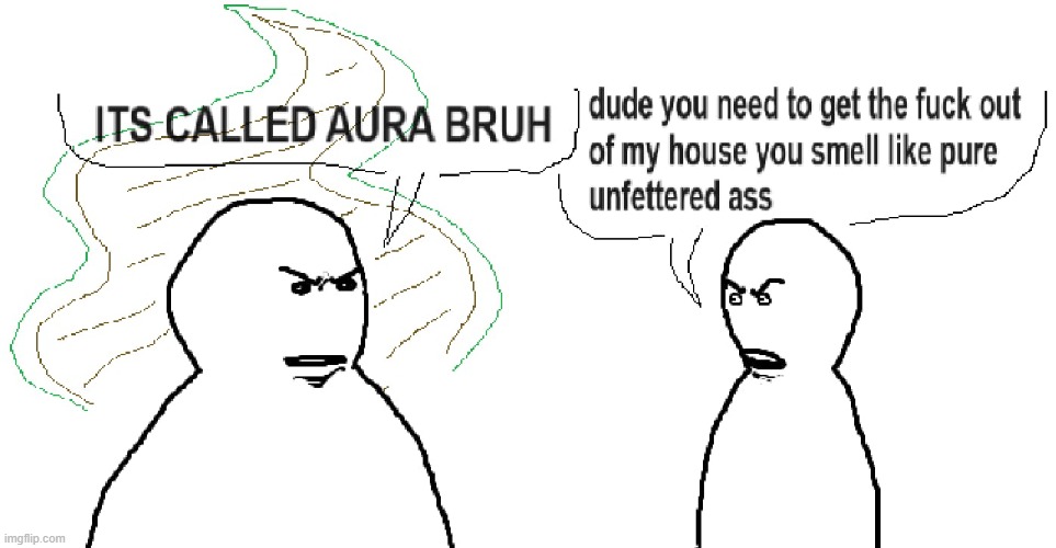 it's not called aura you just stink | image tagged in it's not called aura you just stink | made w/ Imgflip meme maker