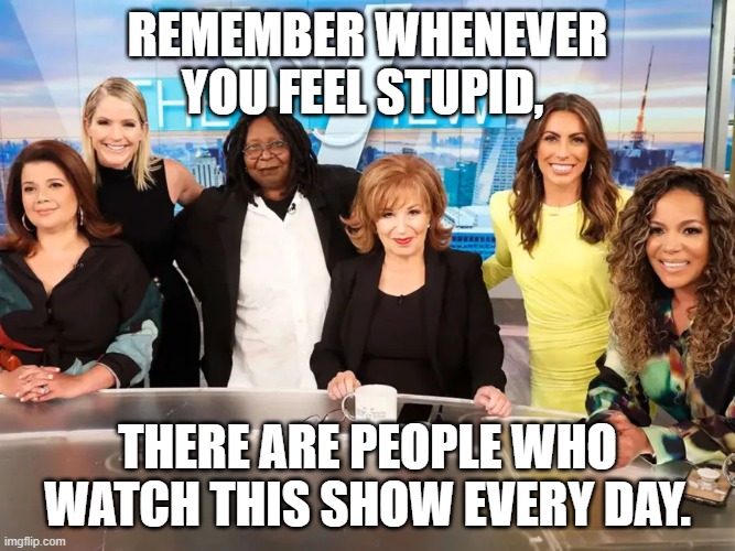 The View Is For Stupid | Remember whenever you feel stupid, there are people who watch this show every day. | image tagged in the view,democrats,stupid people,talk shows | made w/ Imgflip meme maker