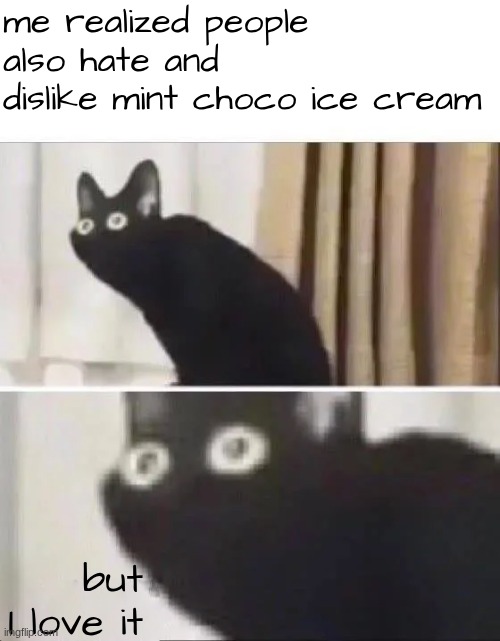 mint choco haters, feel free to hate on me | me realized people also hate and dislike mint choco ice cream; but I love it | image tagged in oh no black cat,ice cream | made w/ Imgflip meme maker