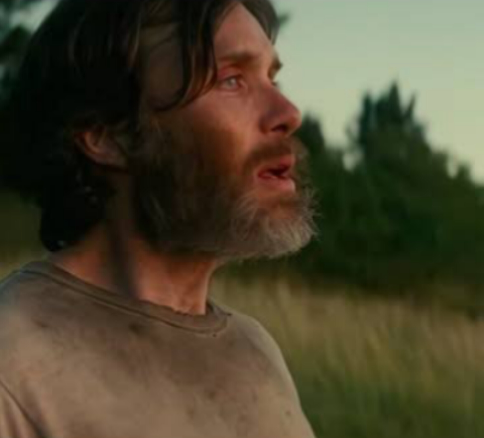 Sad Cillian Murphy Blank Meme Template