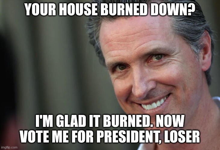 MY HERO!!! | your house burned down? i'm glad it burned. now vote me for president, loser | image tagged in gavin newsom | made w/ Imgflip meme maker