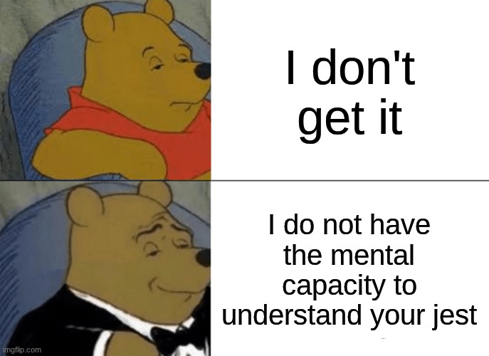 idk | I don't get it; I do not have the mental capacity to understand your jest | image tagged in memes,tuxedo winnie the pooh | made w/ Imgflip meme maker