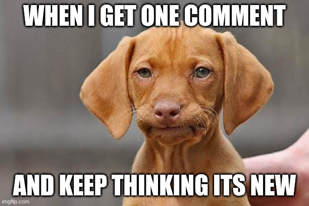 Dissapointed puppy | when I get one comment; and keep thinking its new | image tagged in dissapointed puppy | made w/ Imgflip meme maker
