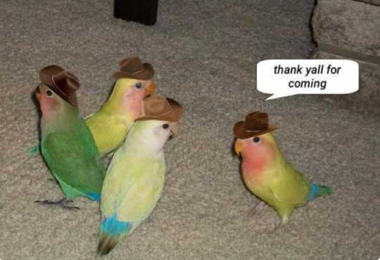 Thank yall for coming Blank Meme Template