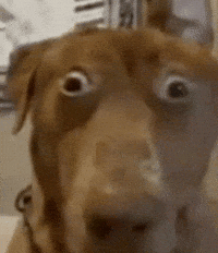 Pls touch grass Blank Meme Template