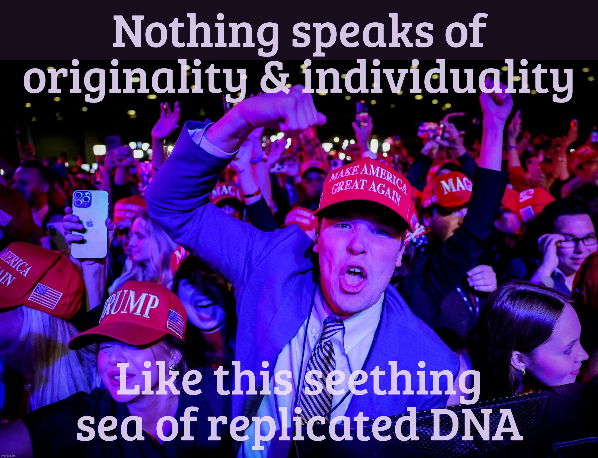 There's that good old-fashioned rugged individualism duplicated by a whole bunch | Nothing speaks of originality & individuality; Like this seething sea of replicated DNA | image tagged in maga crowd,maga droids,magats,crowd of clones,maga replicated dna,can't tell them apart | made w/ Imgflip meme maker