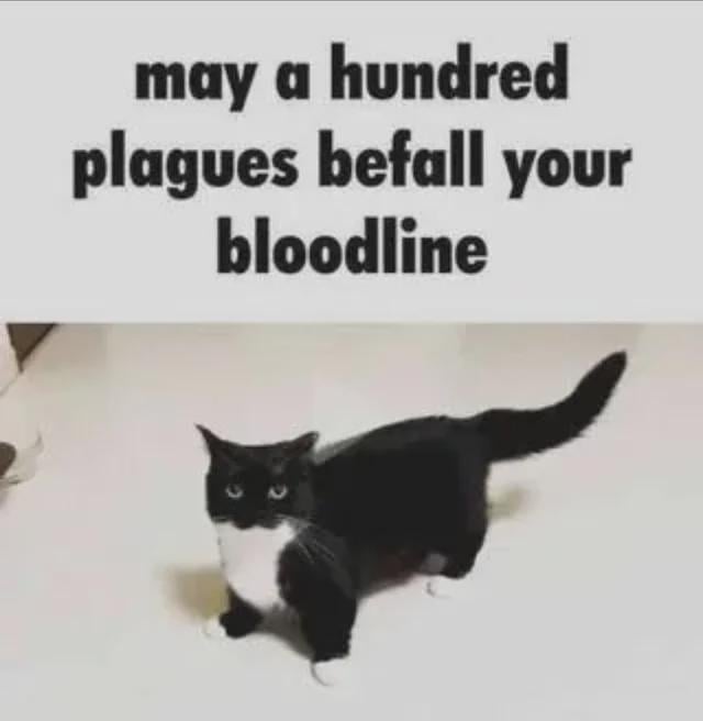 may a hundred plagues befall your bloodline Blank Meme Template