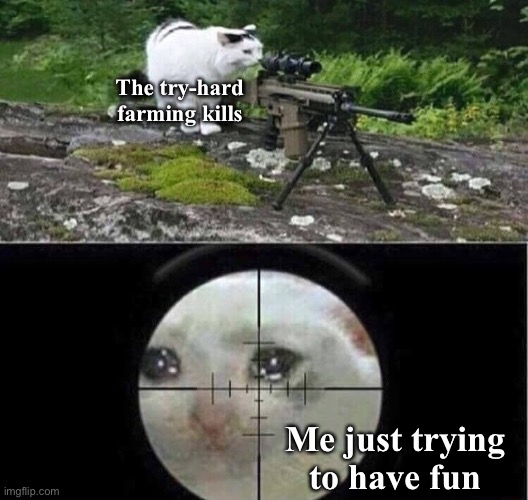 Trying to have fun was my first mistake. | The try-hard farming kills; Me just trying to have fun | image tagged in sniper cat | made w/ Imgflip meme maker
