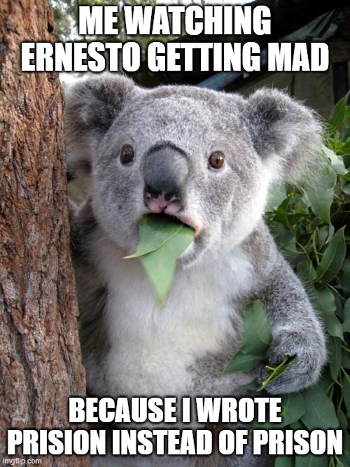 Surprised Koala Meme | Me watching ernesto getting mad; because i wrote prision instead of prison | image tagged in memes,surprised koala | made w/ Imgflip meme maker