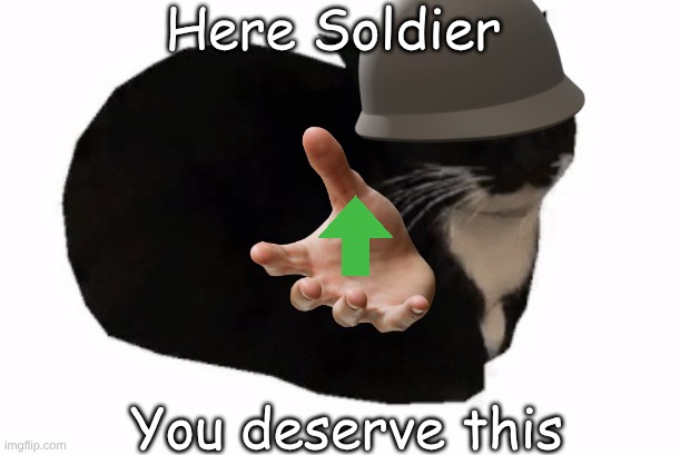 Here Soldier You deserve this | image tagged in maxwell the cat | made w/ Imgflip meme maker