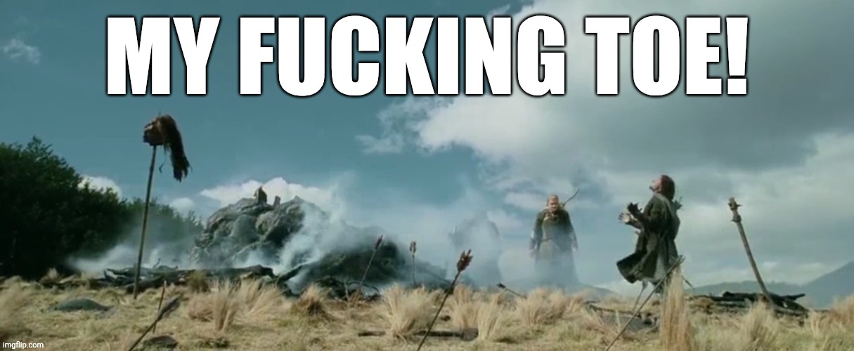 Aragorn Kick | MY FUCKING TOE! | image tagged in aragorn kick | made w/ Imgflip meme maker