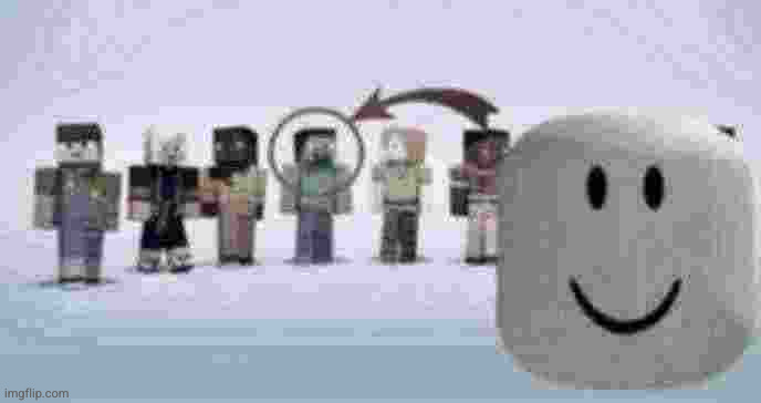 stevie standard | image tagged in stevie standard | made w/ Imgflip meme maker