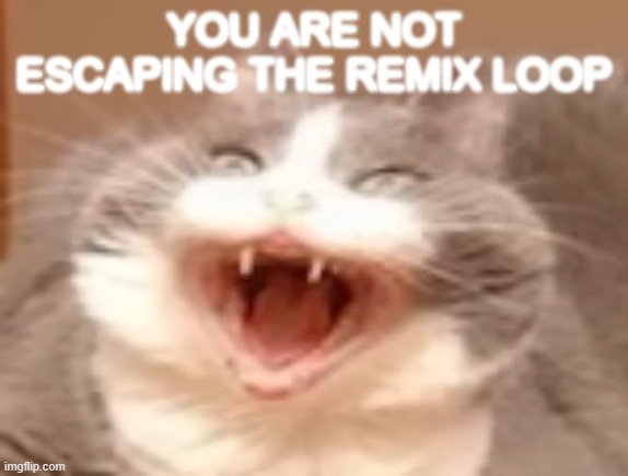 cat | YOU ARE NOT ESCAPING THE REMIX LOOP | image tagged in cat | made w/ Imgflip meme maker