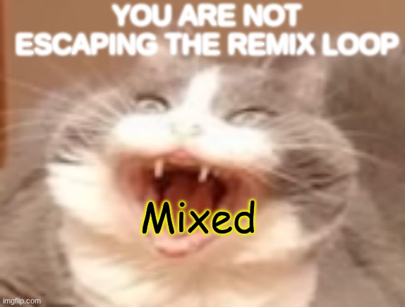 cat | YOU ARE NOT ESCAPING THE REMIX LOOP; Mixed | image tagged in cat | made w/ Imgflip meme maker