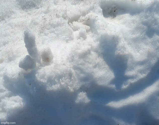 Hehehuhueheheh | made w/ Imgflip meme maker