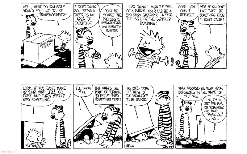 image tagged in calvin and hobbes,comics | made w/ Imgflip meme maker