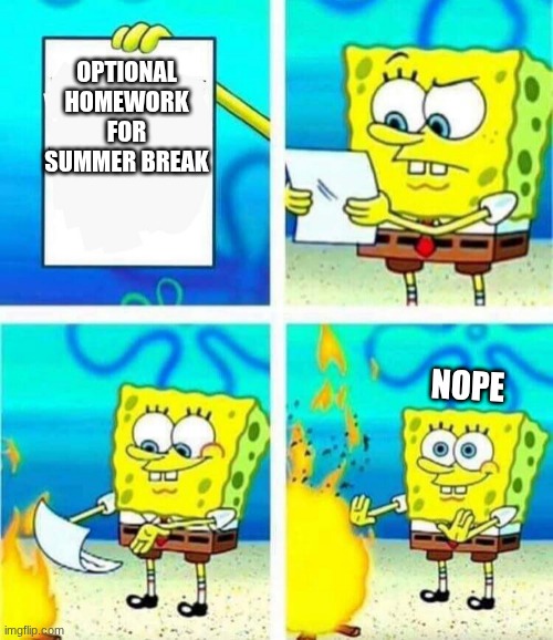 Nope | Optional homework for summer break; Nope | image tagged in sponge bob letter burning | made w/ Imgflip meme maker