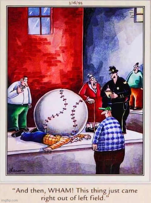 He had a ball… literally | image tagged in the far side,comics,accident,police,baseball,out of left field | made w/ Imgflip meme maker