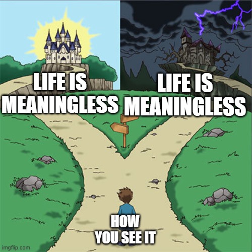 life is meaningless | life is meaningless; life is meaningless; How you see it | image tagged in two paths | made w/ Imgflip meme maker