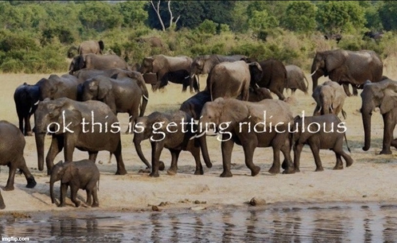 ok this is getting ridiculous | image tagged in ok this is getting ridiculous | made w/ Imgflip meme maker