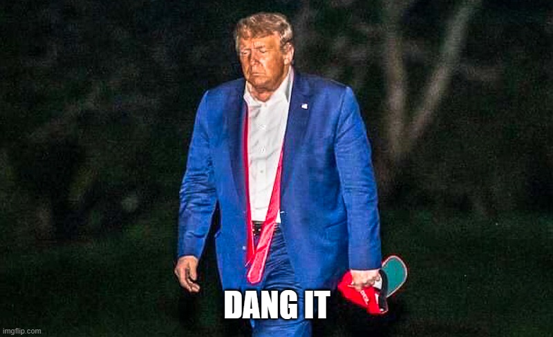 dang it | image tagged in defeated trump meme | made w/ Imgflip meme maker