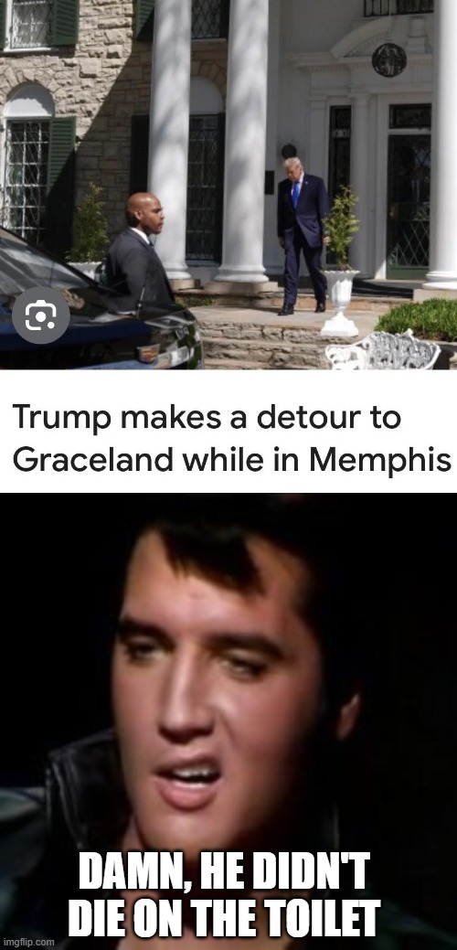You Read That in Elvis' Voice | damn, he didn't die on the toilet | image tagged in elvis thank you | made w/ Imgflip meme maker