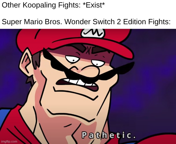 Teminal montage | Other Koopaling Fights: *Exist*
  

Super Mario Bros. Wonder Switch 2 Edition Fights: | image tagged in teminal montage | made w/ Imgflip meme maker