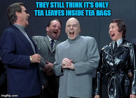 Laughing Villains Meme | THEY STILL THINK IT'S ONLY TEA LEAVES INSIDE TEA BAGS | image tagged in memes,laughing villains | made w/ Imgflip meme maker