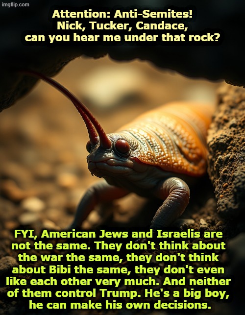 Attention: Anti-Semites! Nick, Tucker, Candace, can you hear me under that rock? FYI, American Jews and Israelis are 
not the same. They don't think about 
the war the same, they don't think 
about Bibi the same, they don't even 
like each other very much. And neither 
of them control Trump. He's a big boy, 
he can make his own decisions. | image tagged in trump,anti-semitism,jews,israel,nick fuentes,tucker carlson | made w/ Imgflip meme maker