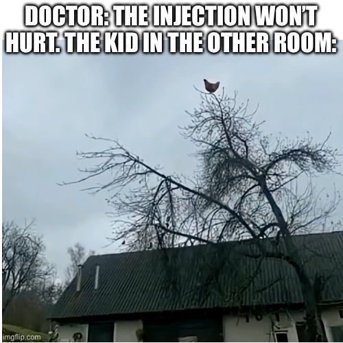 Doctor: the injection won’t hurt. The kid in the other room: | made w/ Imgflip meme maker