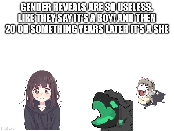 Gender reveals are so useless. Like they say it’s a boy! And then 20 or something years later it’s a she | image tagged in trans | made w/ Imgflip meme maker