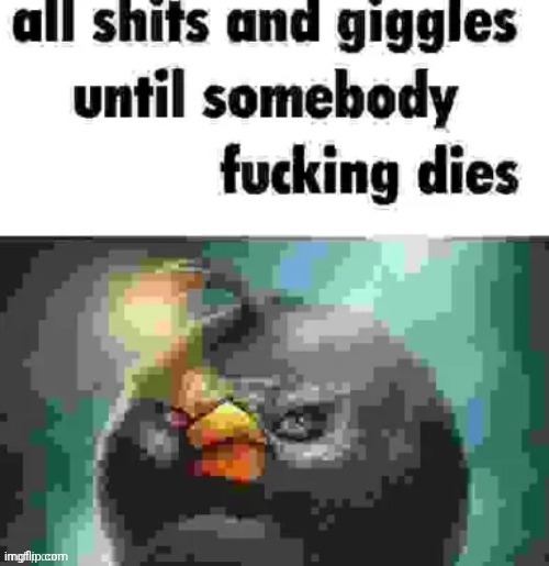 all shits and giggles until somebody dies | image tagged in all shits and giggles until somebody dies | made w/ Imgflip meme maker