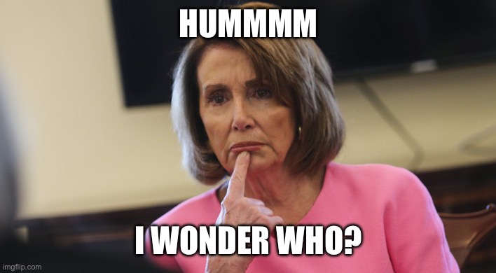 Pelosi Philosoraptor | Hummmm I wonder who? | image tagged in pelosi philosoraptor | made w/ Imgflip meme maker