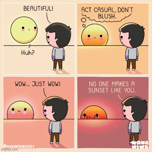 image tagged in sun,act,casual,sunset,blush,blushing | made w/ Imgflip meme maker