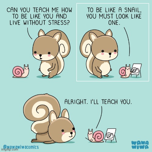 image tagged in squirrel,snail,stress,shell,tail,swirl | made w/ Imgflip meme maker