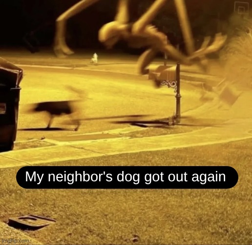 Put a leash on the damn thing | My neighbor's dog got out again | image tagged in dogs | made w/ Imgflip meme maker