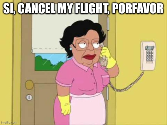 Si, cancel my flight, porfavor | image tagged in memes,consuela | made w/ Imgflip meme maker
