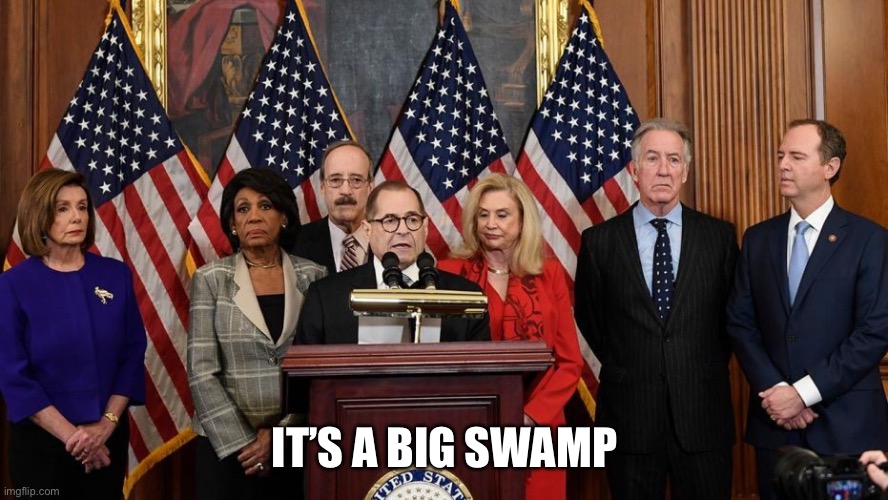 It’s a big swamp | image tagged in house democrats | made w/ Imgflip meme maker