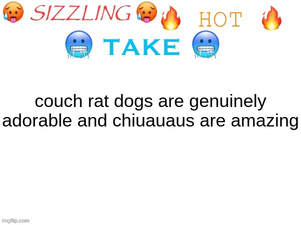 sizzling hot take | couch rat dogs are genuinely adorable and chiuauaus are amazing | image tagged in sizzling hot take | made w/ Imgflip meme maker
