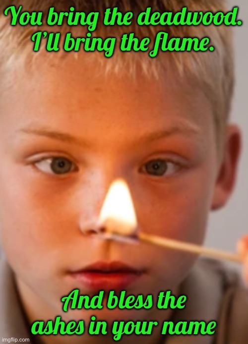 You bring the deadwood. I’ll bring the flame. And bless the ashes in your name | image tagged in fire | made w/ Imgflip meme maker