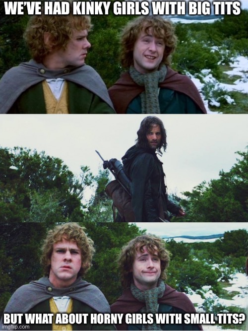 What about second breakfast | We’ve had kinky girls with big tits But what about horny girls with small tits? | image tagged in what about second breakfast | made w/ Imgflip meme maker