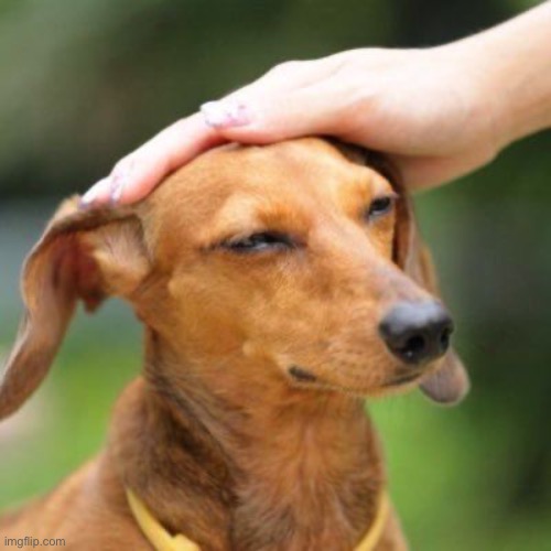 image tagged in good boy | made w/ Imgflip meme maker