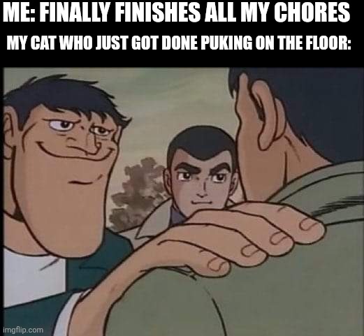 Hand on shoulder guy | Me: finally finishes all my chores; My cat who just got done puking on the floor: | image tagged in hand on shoulder guy | made w/ Imgflip meme maker