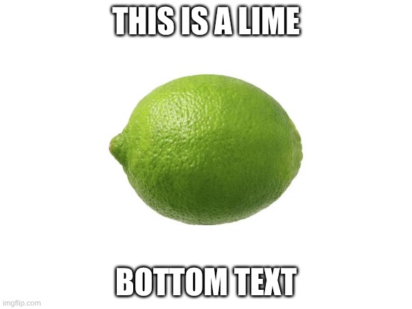 lime | this is a lime; bottom text | image tagged in lime | made w/ Imgflip meme maker