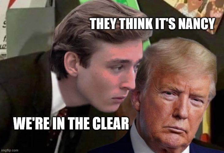 they think it's nancy we're in the clear | image tagged in barron trump advice | made w/ Imgflip meme maker