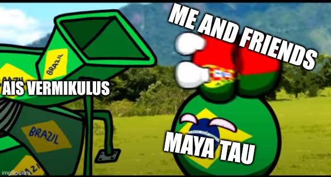 Valery Sablin Help me! | Me and friends; AIS VERMIKULUS; MAYA TAU | image tagged in you're going to brazil,vermikulus | made w/ Imgflip meme maker